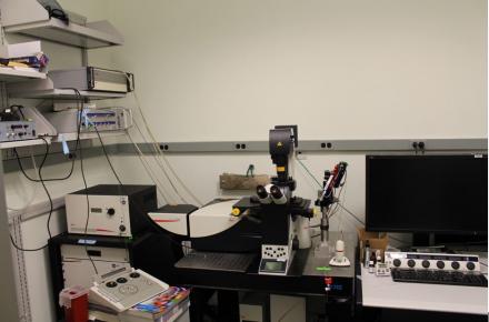 Image of the LIF Super Confocal Microscope 