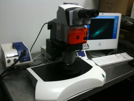 Image of the LIF Zeiss Lumar Stereo Microscope