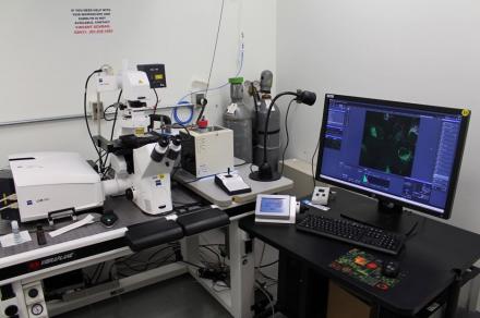 Image of the Zeiss 880 Spectral Confocal Microscope