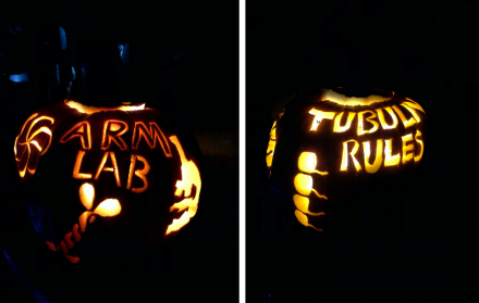 ARM Lab pumpkin