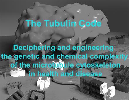 Tubulin Code