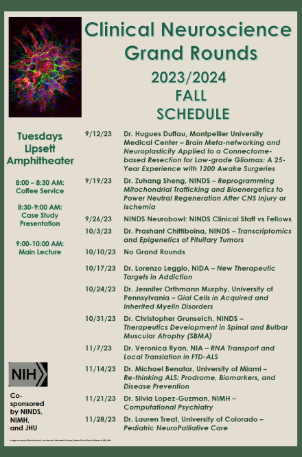 Picture of the Grand Rounds series poster listing dates and speakers.