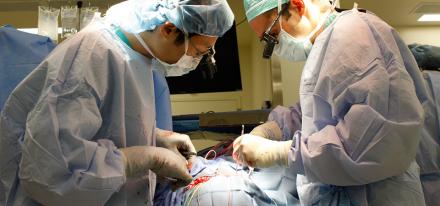 Two surgeons conducting a procedure on a patient's brain