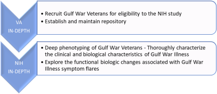 VA  IN-DEPTH: (1) Recruit Gulf War Veterans for eligibility to the NIH study. (2) Establish and maintain repository.  NIH IN-DEPTH (1) Deep phenotyping of Gulf War Veterans - Thoroughly characterize the clinical and biological characteristics of Gulf War Illness. (2) Explore the functional biologic changes associated with Gulf War Illness symptom flares. 