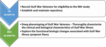 VA  IN-DEPTH: (1) Recruit Gulf War Veterans for eligibility to the NIH study. (2) Establish and maintain repository.  NIH IN-DEPTH (1) Deep phenotyping of Gulf War Veterans - Thoroughly characterize the clinical and biological characteristics of Gulf War Illness. (2) Explore the functional biologic changes associated with Gulf War Illness symptom flares.