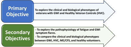 (1)	Primary Objective: To explore the clinical and biological phenotypes of veterans with GWI and Healthy Veteran Controls (HVC). (2) Secondary Objectives: To explore the pathophysiology of fatigue and GWI symptom flares; to compare the clinical and biological phenotypes between GWI, HVC, ME/CFS, and healthy volunteers.