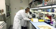 Photo of Dr. Nath working in the lab.