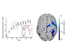 Illustration of micro-offline skill learning and correlated beta oscillation changes